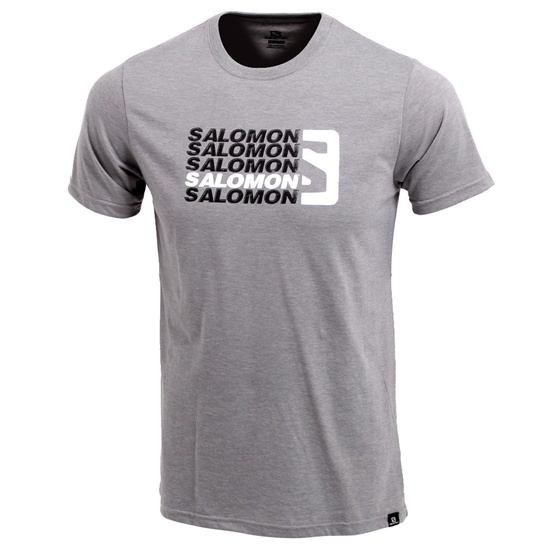 Pánské Tričko Salomon STANDOUT SS M Šedé | HVQ-432610